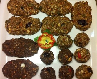 Hemmagjorda Raw Protein Bars