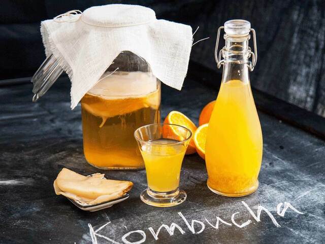 Kombucha – grundrecept