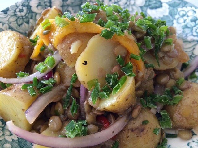 Veckans vegetariska -Potatissallad med linser och grillad paprika