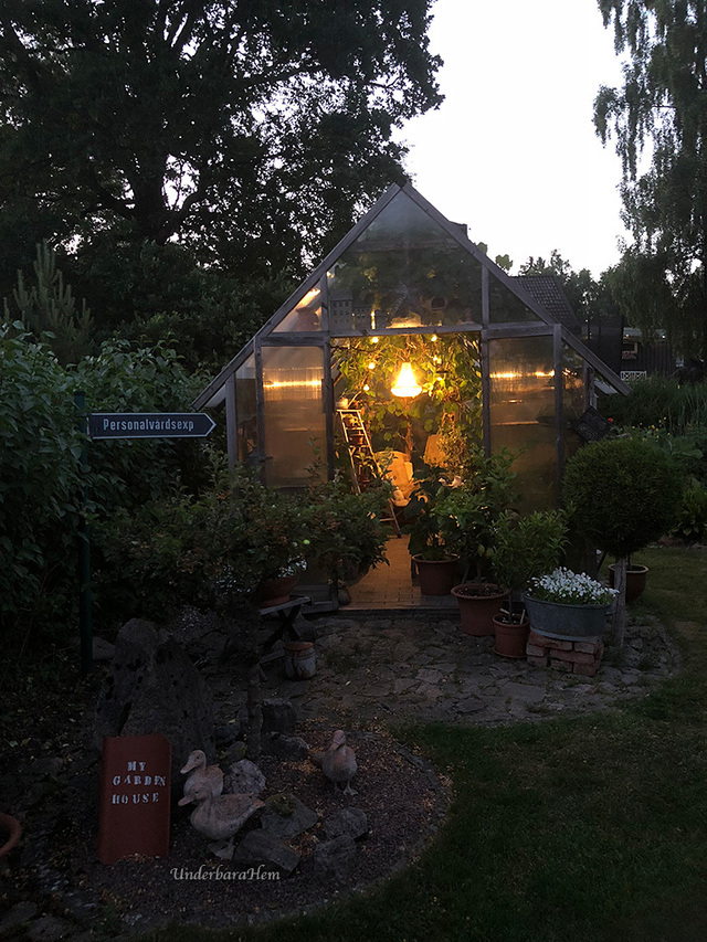 Ett kvällsbesök i växthuset!