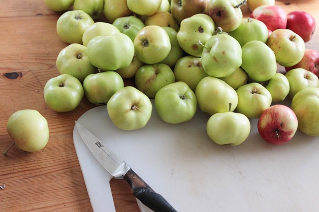 Enkel äppeldricka och äppelmos i saftmaja