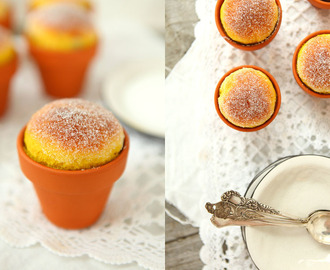 Saffransbullar i Lerkruka - Saffron Buns in a Clay Pot