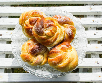 Sockerbullar & krusbärsbuskar