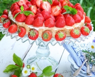 Flädercheesecake med jordgubbar