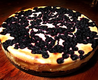 New York Blueberry Cheesecake