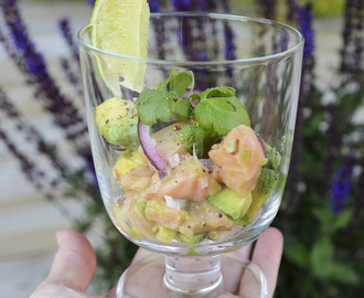 Ceviche med Salma, lime, chili & avocado