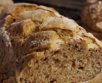 bröd nummer två från brödfrencyt - frölimpa