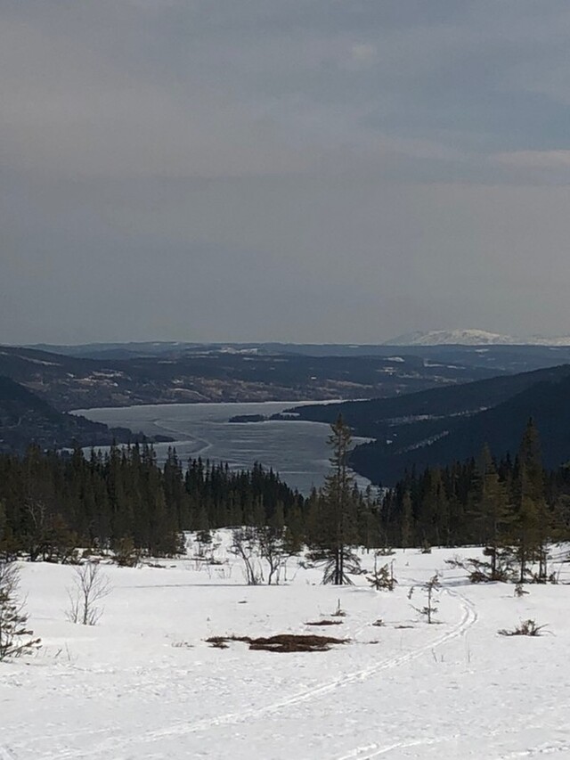 2019-04-19 Ullådalen