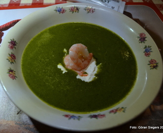Soppa med grönkål
