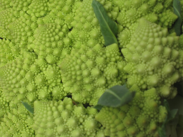 Smörstekt röding med gräddstuvade kantareller och romanesco