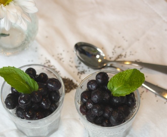 Snack Hacks: Chia Pudding with Blueberries