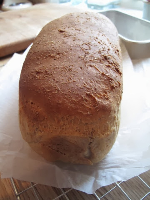 New England bread