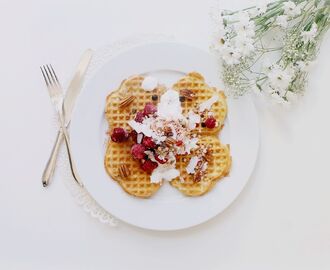 The Swedish Waffle Day - Gluten Free Protein Rich Waffles + 3 Other Healthy Waffle Recipes