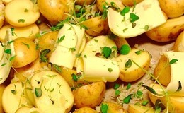 Potatis