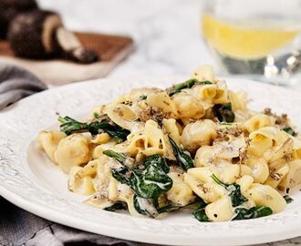 Krämig tryffelpasta med parmesan och spenat