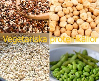 Protein på vegetarisk kost