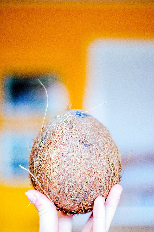 Torka egen kokos: