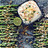 Parmesangratinerad sparris med pinjenötter & dipp