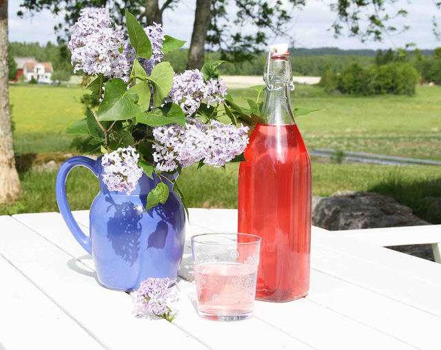 Sommar på flaska: Syrensaft!