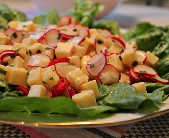 Marinerad prästostsallad med rädisor och gräslök - gott till köttbiten!