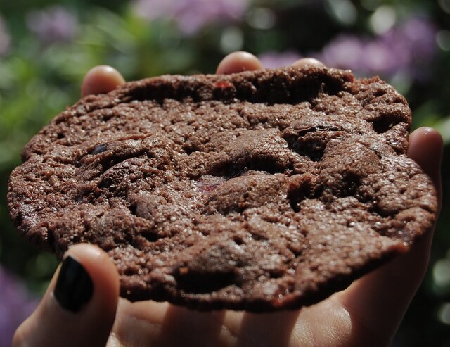 Chocolate chip cookies med polka
