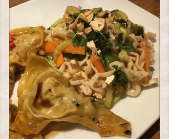 KYCKLINGDUMPLINGS OCH VIETNAMESISK NUDELSALLAD MED RÄKOR