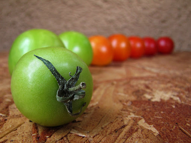 Mays Marmelad på Gröna Tomater