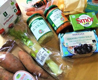 Ekologiska alternativ och naturligt syrade grönsaker + mejerifri spenatsoppa med örtsaltade sötpotatischips