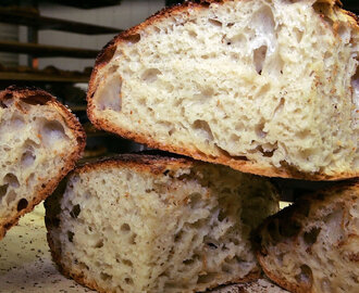 No-Knead Bread