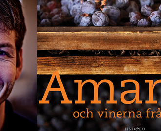 Amarone och vinerna från Valpolicella