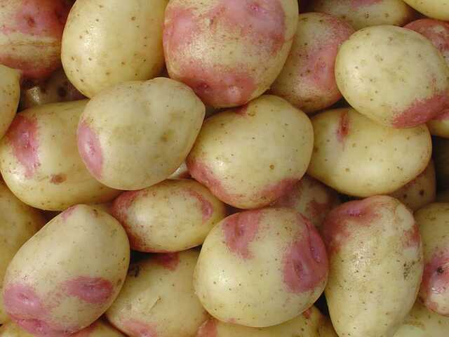 Husmorstips med potatis