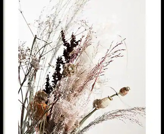 Dried Bouquet No2 Poster