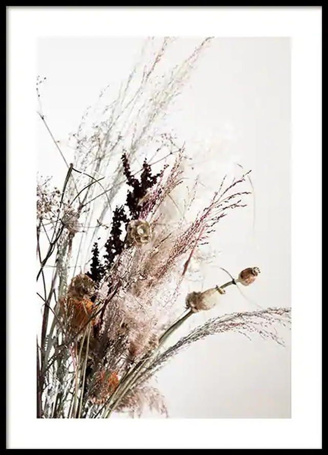 Dried Bouquet No2 Poster