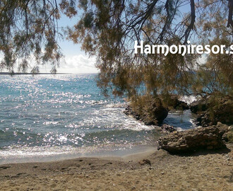 Om höstens Harmoniresor till Kreta