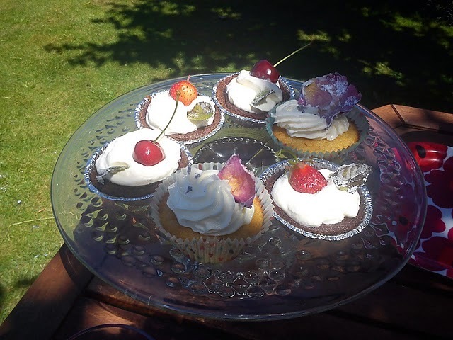 Lavendelcupcakes med fläderblomsfrosting och kanderade rosor
