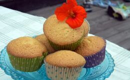 Muffins/Cupcakes