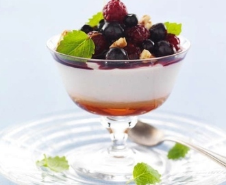 Yoghurtfromage med blåbär och nötter