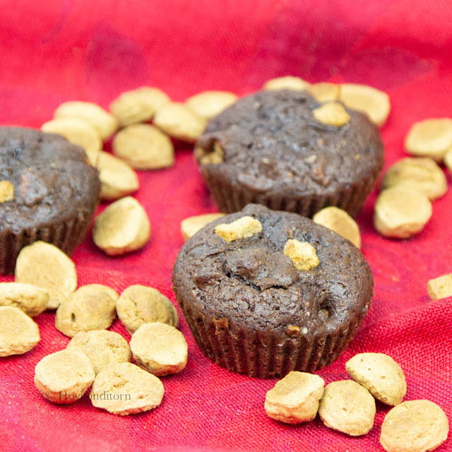 Chocolate Muffins with Kruidnoten