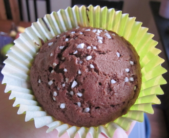 Chokladmuffins mjölk/glutenfria