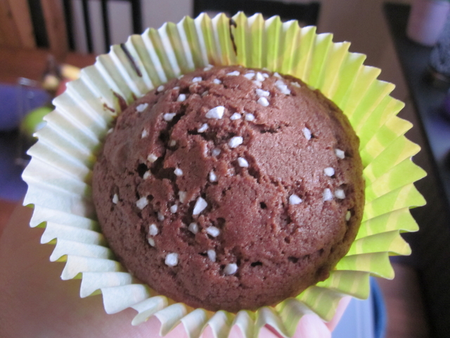 Chokladmuffins mjölk/glutenfria