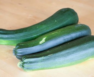 Tips på saker att göra av squash/zucchini!