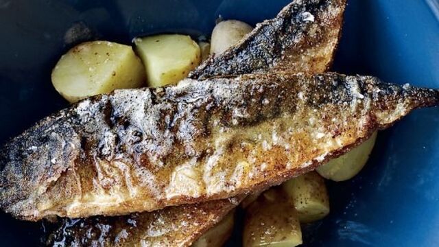 Rugmelsstegt makrel med brunet smør | Femina | Mad ideer, Mad og drikke, Fiskeopskrifter