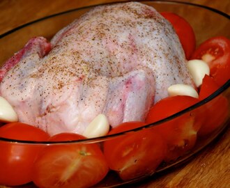 Långlagad kyckling och tomatsås