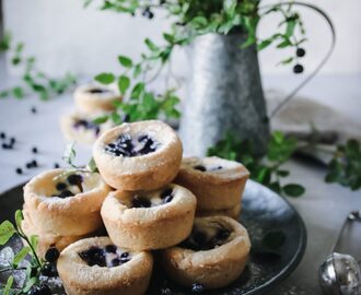 GODA BLÅBÄRSCHEESECAKE GROTTOR