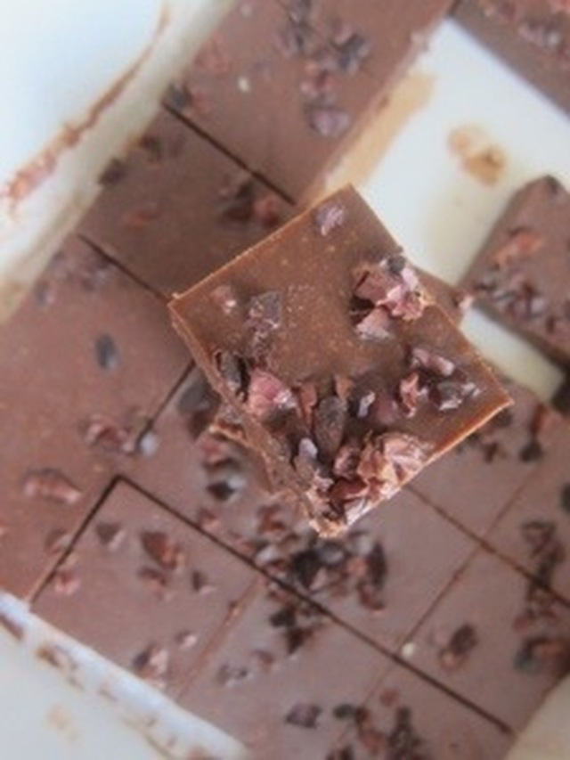 Raw chocolate and peanutbutter fudge