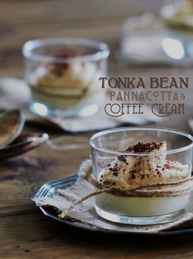Tonka Bean Pannacotta with Coffee Cream (Tonkaböna Pannacotta med Kaffegrädde)