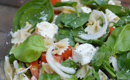 Sallad