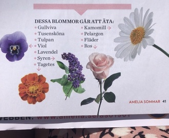 Ätbara blommor