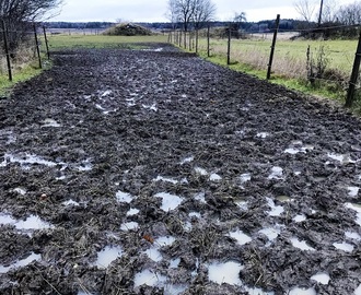 Julhysteri, eller julens försvarstal