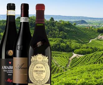 10 bästa amarone-vinerna på Systembolaget